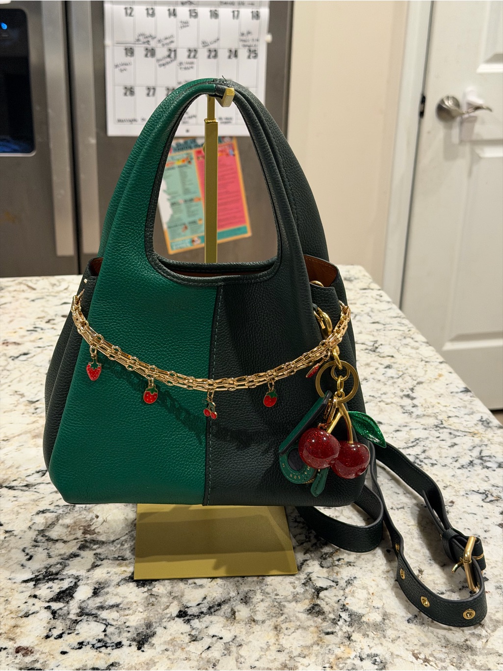 Coach Lana Colorblock Green & Black Women's Leather Tote Bag With Cherry Charm